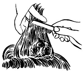 Рис. 31. Начесывание пряди волос каждые 1 - 1,5 см и передвигаясь к концам. В такой же последовательности прядь обрабатывают с обеих сторон