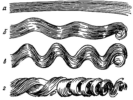 Рис. 27. Форма волос: а - прямые волосы; б - волнистые; в - сильно волнистые; г - завитые
