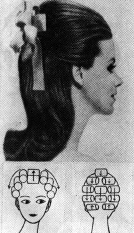Виды женских причёсок