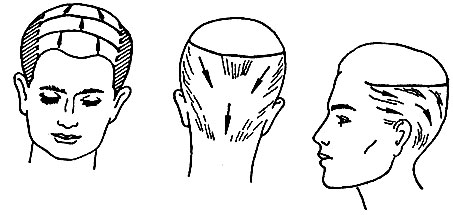 Рис. 64. Направление расчесывания различных участков волос при выполнении стрижки на пальцах