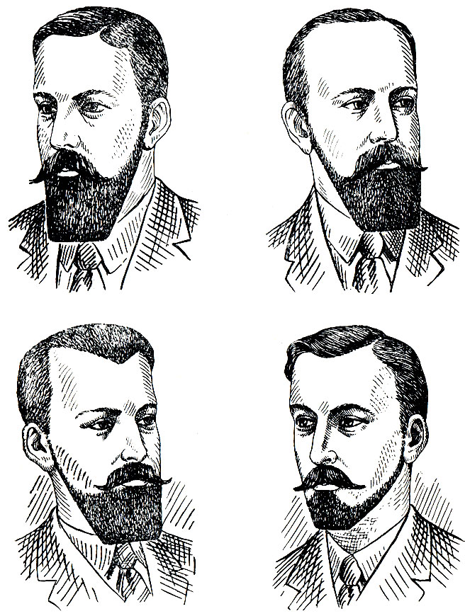 Рис. 46. Борода в форме трапеции ('каре')