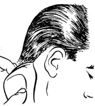 Рис. 17. Направление расчесывания волос при выполнении окантовки