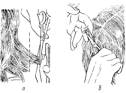 Рис. 28. Нерекомендуемые приемы работ:  а - срезание волос осуществляется не на уровне общей длины данного участка; б - такой прием часто приводит к порезу пальцев левой руки
