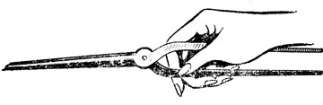 Рис. 46. Основное положение щипцов  в руке