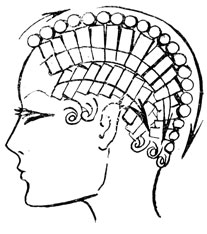 Рис. 56. Возможное распределение коклюшек на волосяном покрове головы и направление накручивания на них волос