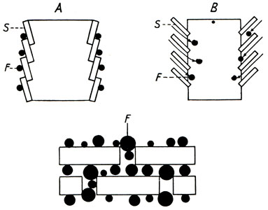 . 291.         -        (S)   ,        -     (F)   .        ()  